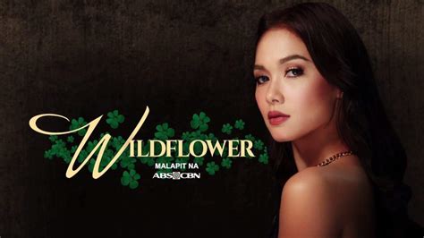 wildflower teleserye|teleserye wildflower scripted lines.